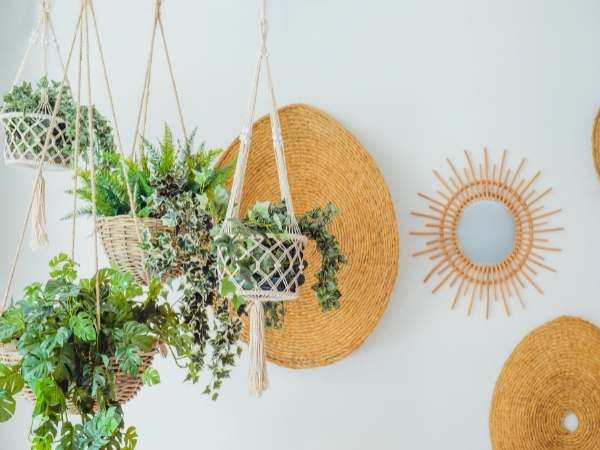 Add Hanging Plants
