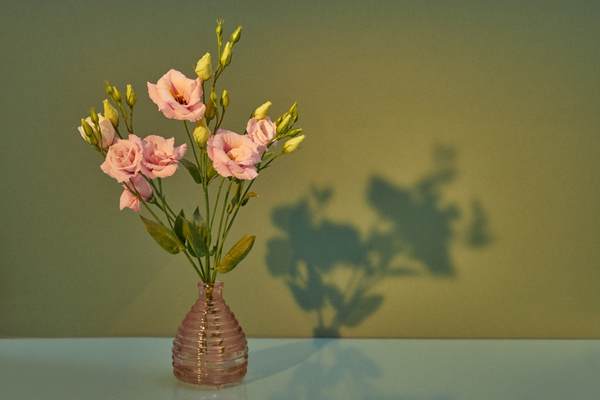 Botanical Theme With Bud Vases 