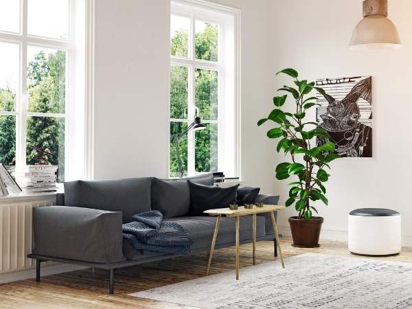 Style A Living Room With A Black Sofa