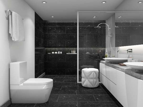 Vintage Black Bathroom Ceiling