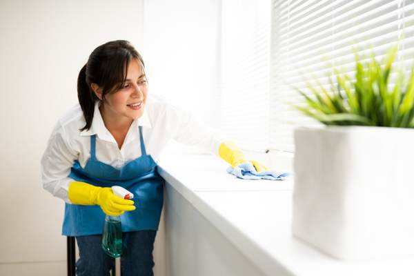 Water-Repellent Fabric Cleaner And Protectant