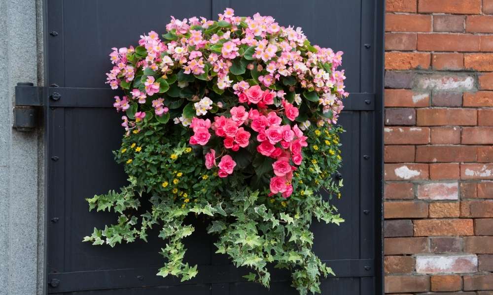 Wreath Of Flowers 