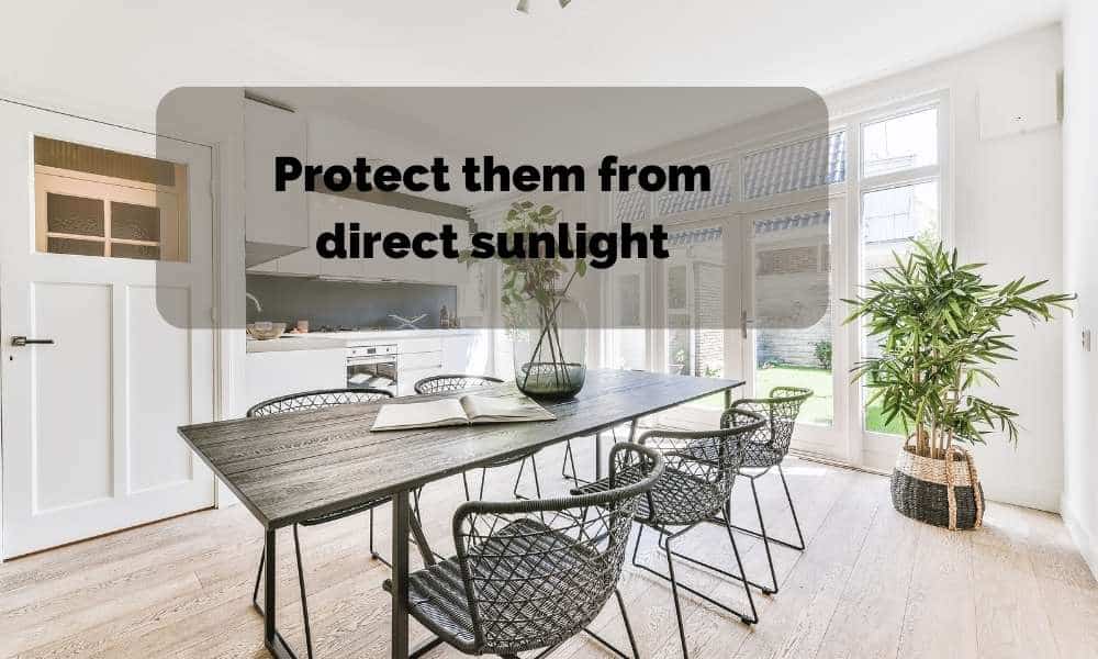 Protect them from direct sunlight