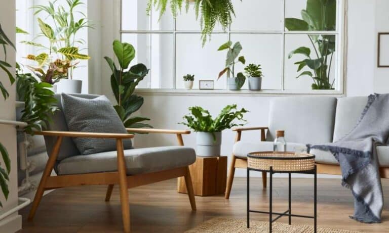 How To Clean Rattan Dining Chairs