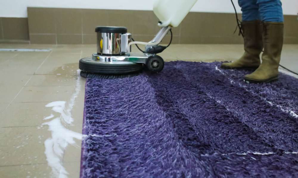 carpet Professional Cleaning