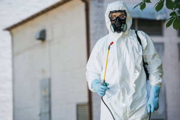 Professional Pest Control To Get Rid Of Springtails In Bathroom​