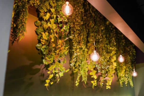 Troubleshooting Common Issues  to hang grow lights from ceiling