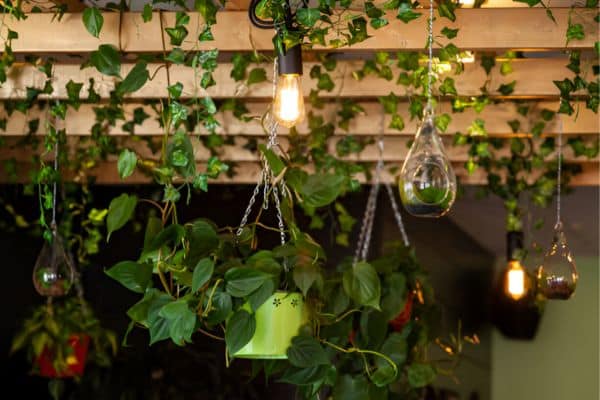 Tips for Properly Hanging and Using Grow Lights