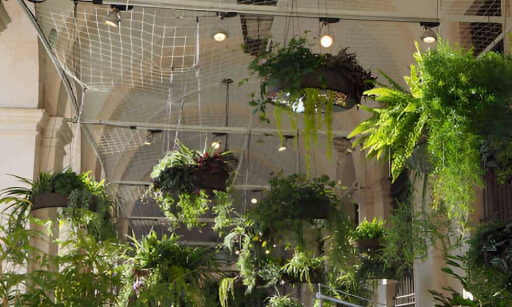how to hang grow lights from ceiling