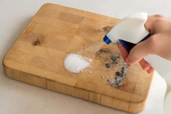 Apply a Mould Removal Solution