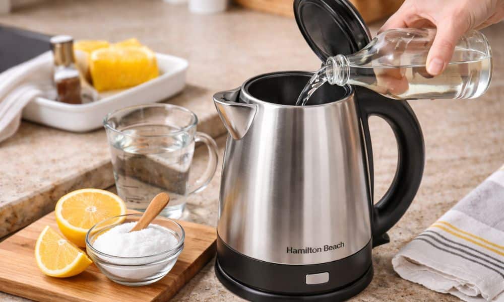How To Clean Hamilton Beach Electric Kettle